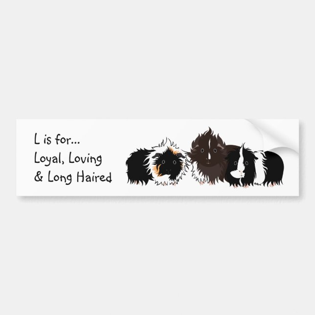 3 long haired piggies bumper sticker (Devant)