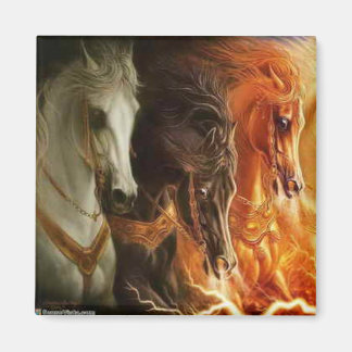 3 Magnet de chevaux