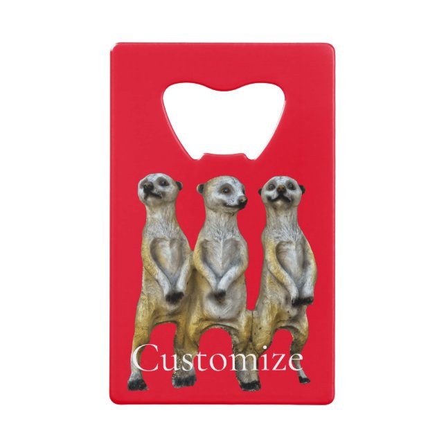 3 Meerkats debats Thunder_Cove (Devant)