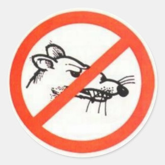 3" No Rat sticker