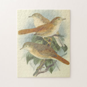 3 Oiseaux perchés sur un puzzle
