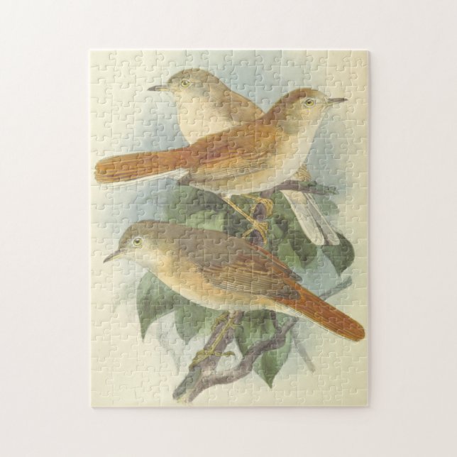 3 Oiseaux perchés sur un puzzle (Vertical)