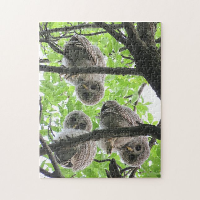 3 Owley Jigsaw Puzzle (Vertical)