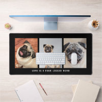 3 Photos Animaux Animaux De Compagnie L'Amour Est