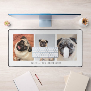 3 Photos Animaux De Compagnie L'Amour Est Un Mot D