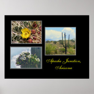 3 photos d'Apache Junction, Az impression
