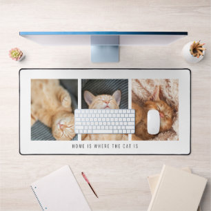 3 Photos Maison Est Où Le Chat Est Blanc