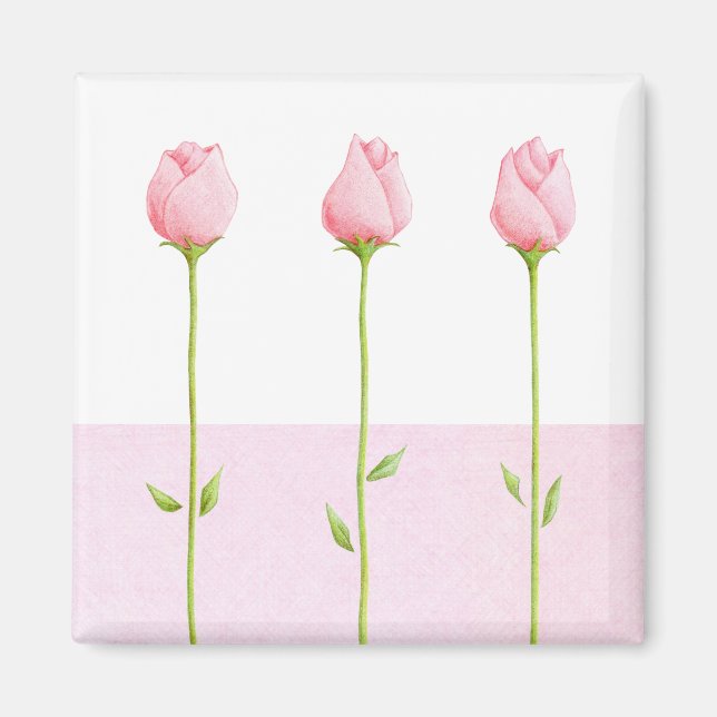 3 Pink Rosebuts Magnet (Devant)