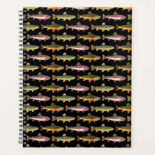 3 truites pour les amateurs de poissons