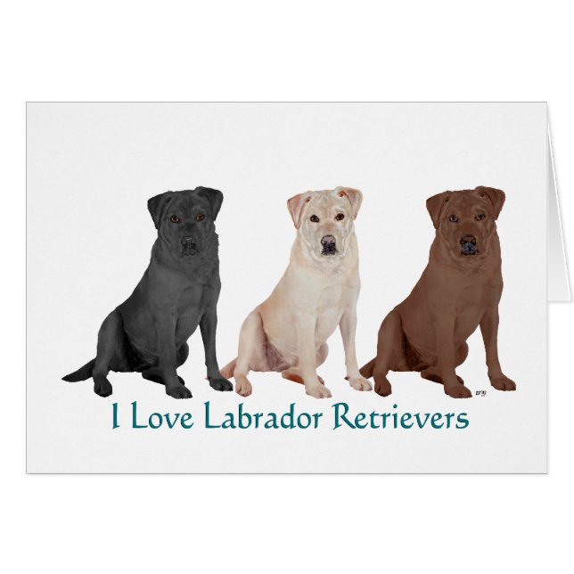 3Labs (Devant horizontal)
