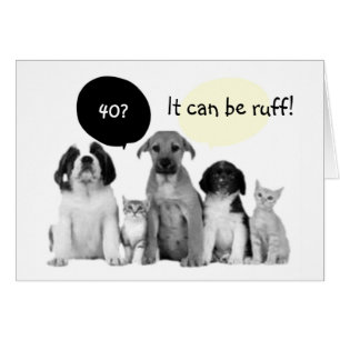 "40" PEUT ÊTRE RUFF-DONC PROFITER IL DIT LES PUPS