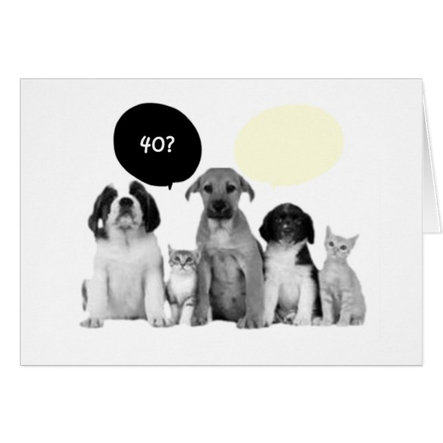 "40ème" WOOF N'AURAIT JAMAIS INVITÉ (Devant horizontal)