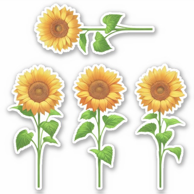 4 autocollants tournesol (clair) (Devant)