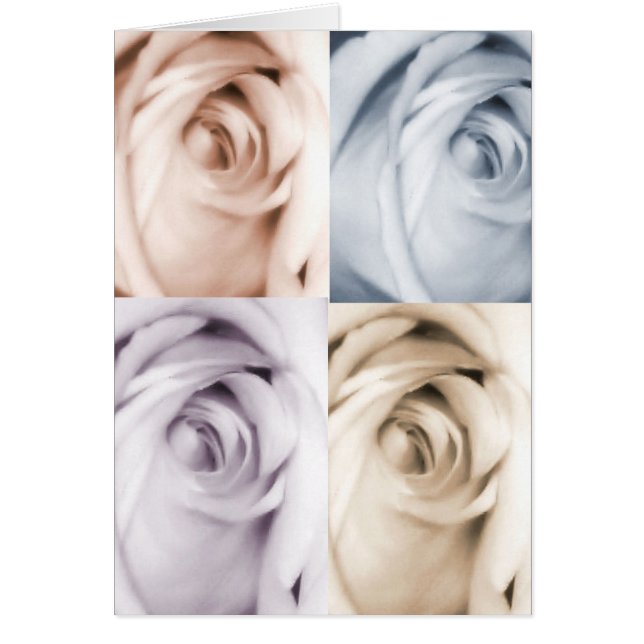 4 carte rose (Devant)