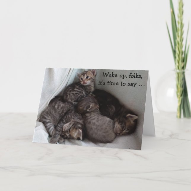 4 chatons sur une carte d'anniversaire amusante (Devant)
