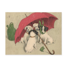 4 Chiens vintages sous carte postale parapluie