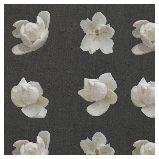 4 différentes fleurs de Magnolia sur tissu noir (Fermer)