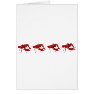 4 écrevisses cuites