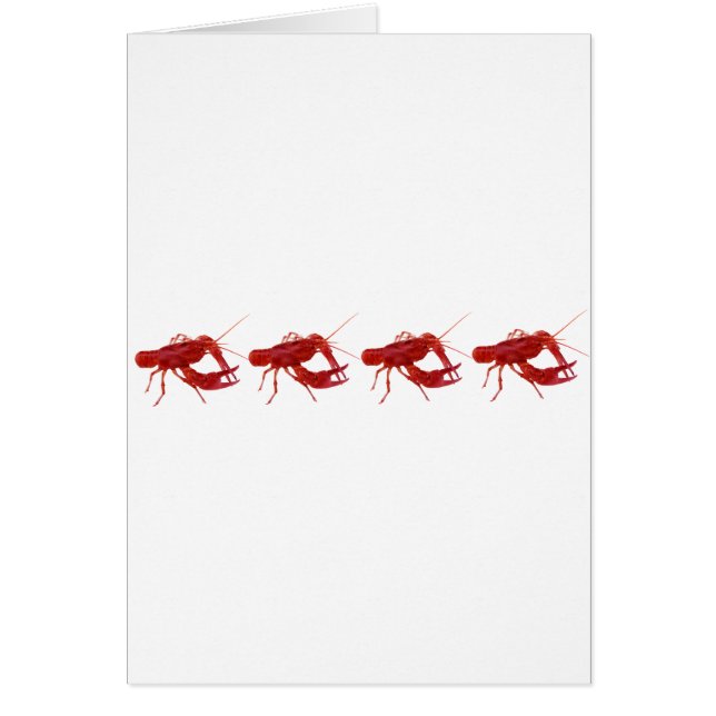 4 écrevisses cuites (Devant)