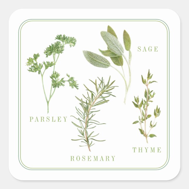 4 HERBES FRAÎCHES Petits Stickers Carrés (Devant)