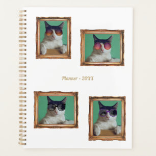 4 Photo Collage Vintage Cadre Chats Animaux de fam