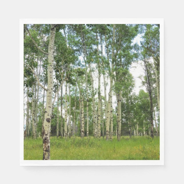 50 serviettes en papier Quaking Aspens (Devant)