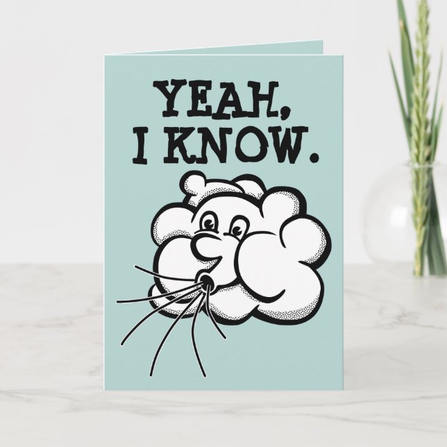 50E ANNIVERSAIRE, 50 SOUFFLE CARTES AMUSANTES (Devant)