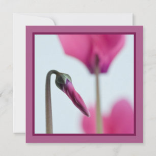 50e anniversaire Invitation de fleurs roses