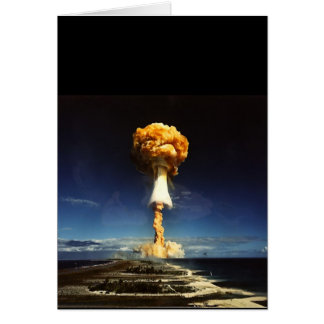 511287693_96eb556d37_b