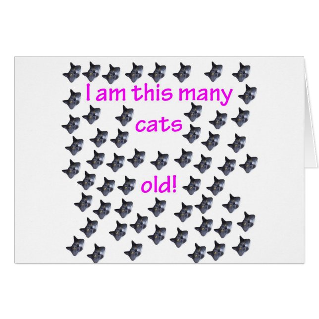 57 têtes de chat vieilles (Devant horizontal)