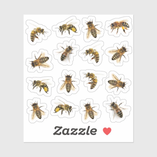5 Abeilles à miel réalistes sur 16 Stickers Vinyl (Feuille)