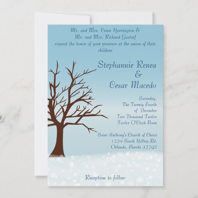 5 x 7 Faire-part de mariage Neige à scintillants / (Devant)