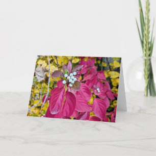 5 x 7 Jeu de cartes de note vierges