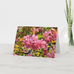 5 x 7 Jeu de cartes de note vierges