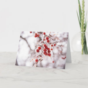 5 x 7 Jeu de cartes de note vierges