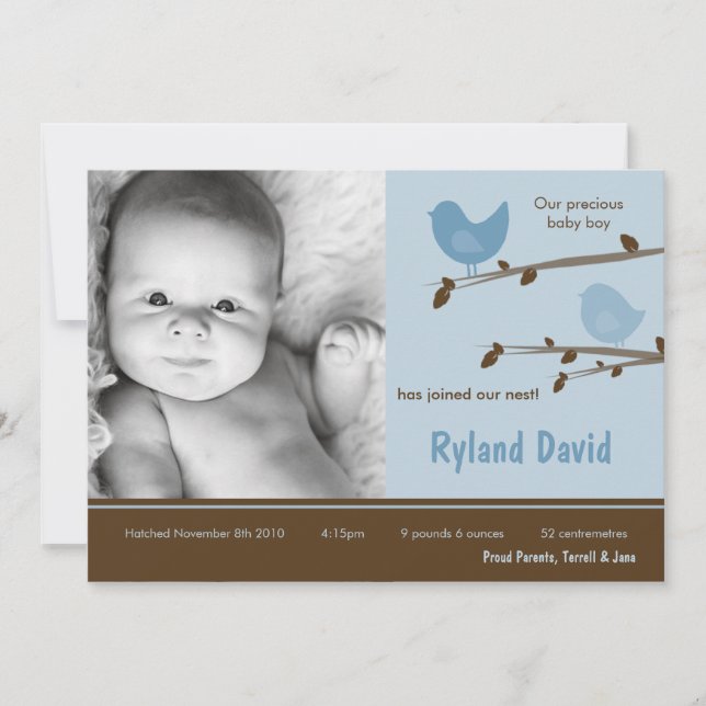 5x7 Baby Boy Blue Birdsl Photo Faire-part de naiss (Devant)