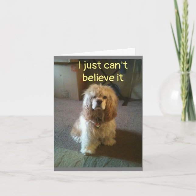 ***60*** JE NE CROIS PAS LA CARTE (Devant)