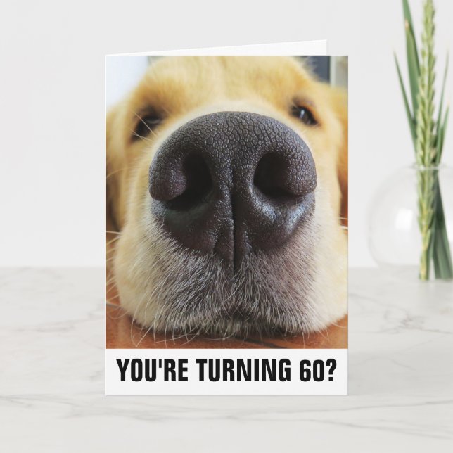 60E ANNIVERSAIRE FUNNY CHIEN CARTES GÉANTES (Devant)