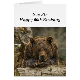 60e Au-dessus de la colline Sérieux regard grizzli