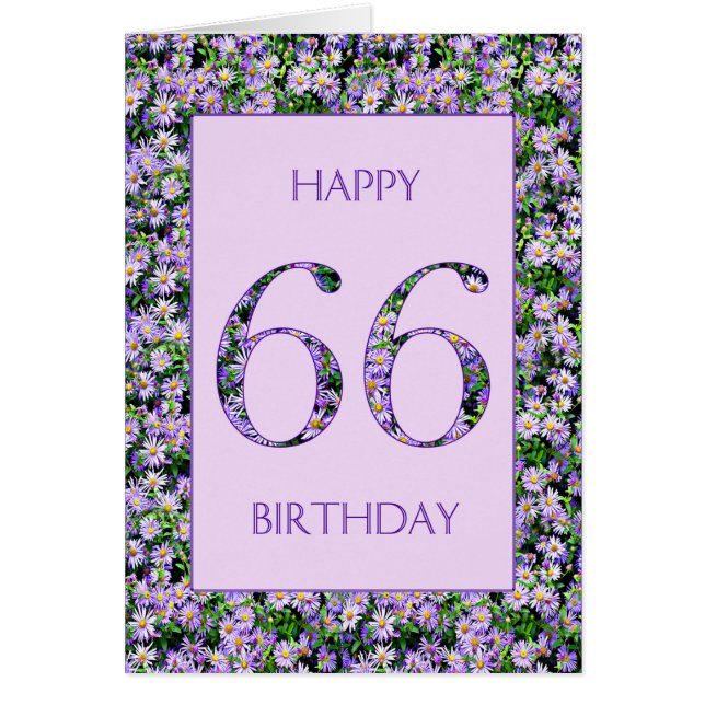 66e anniversaire de marguerites violettes (Devant)
