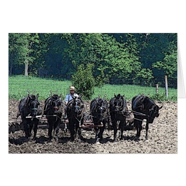 6 Beaux Chevaux d'Ébauche au travail (Devant horizontal)