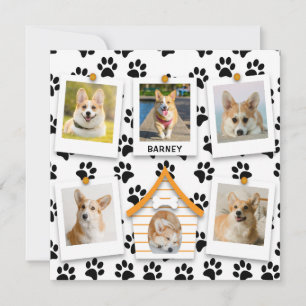 6 Collage Photo Ajouter Nom Maison de Chien Emprei