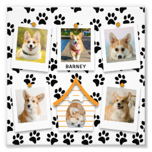 6 Collage Photo Maison de Chien Nom Agrandissement
