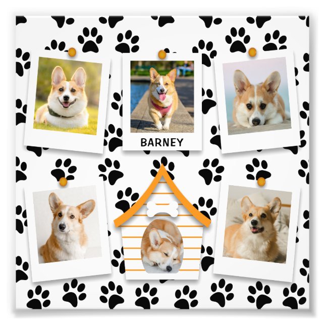 6 Collage Photo Maison de Chien Nom Agrandissement (Devant)