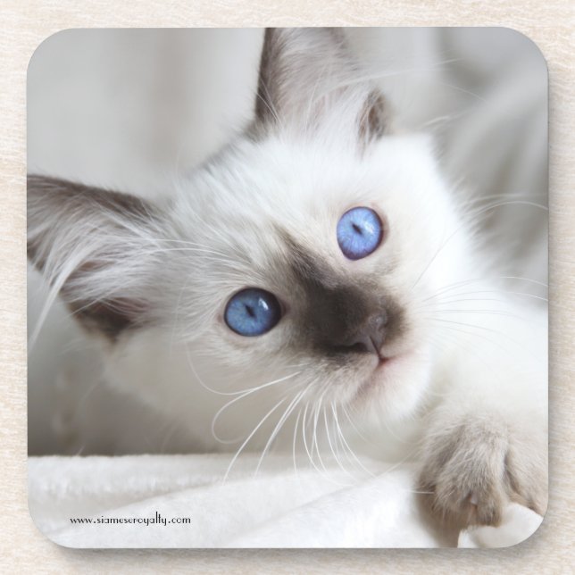 6 dessous de verre en plastique durs de Balinese (Devant)