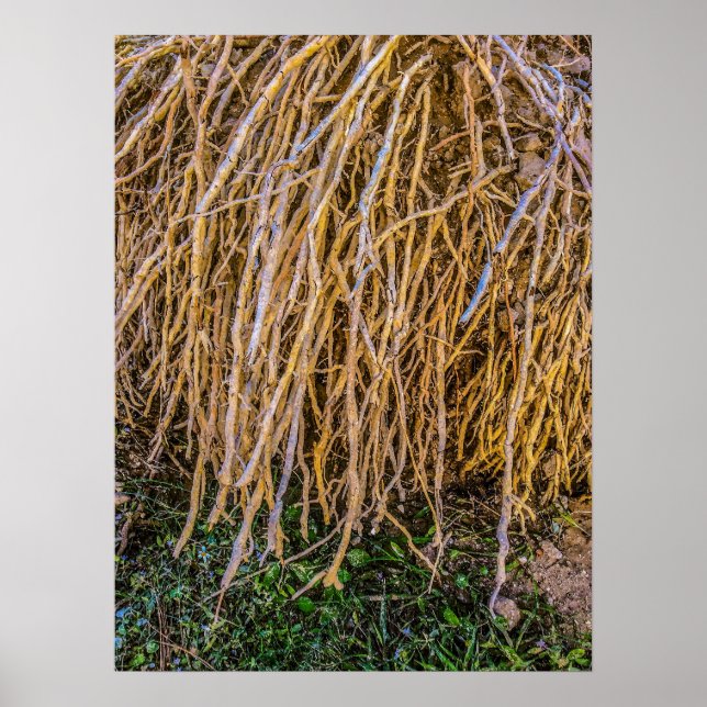 6 Imprimé, Poster Papier (Semi-Gloss) (Devant)