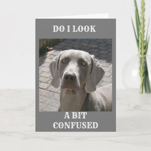 "70" COMMENT PEUT-ON DIRE CARTE WEIMARANER