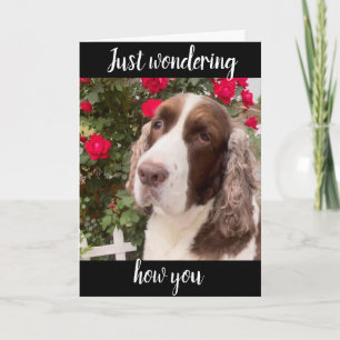 **75ème & VOUS ÊTES FABULEUX** TOUJOURS! CARTE D'A