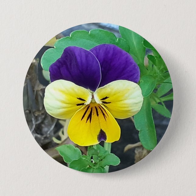 7,6 Cm Badge rond Pansy Violet et Jaune (Devant)