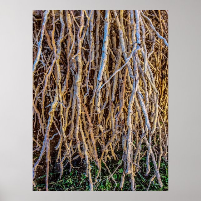 7 Imprimé, Poster Papier (Semi-Gloss) (Devant)